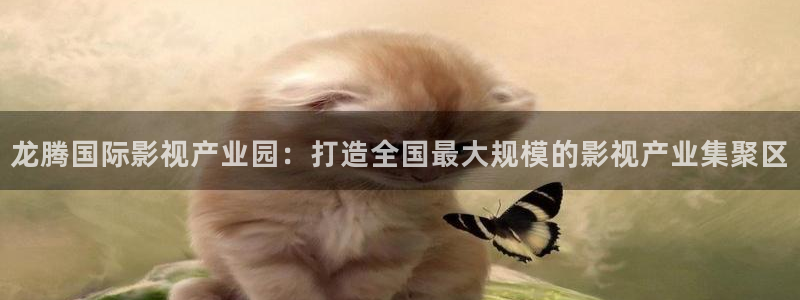 北京麥田：龍騰國際影視產(chǎn)業(yè)園：打造全國最大規(guī)模的影視產(chǎn)業(yè)集聚區(qū)