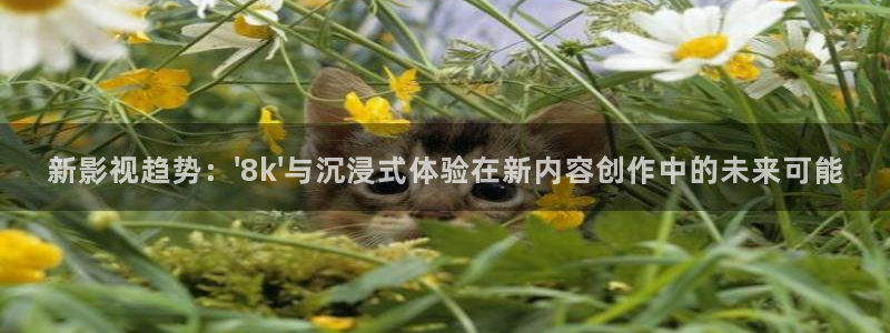 麥田影視官網(wǎng)下載